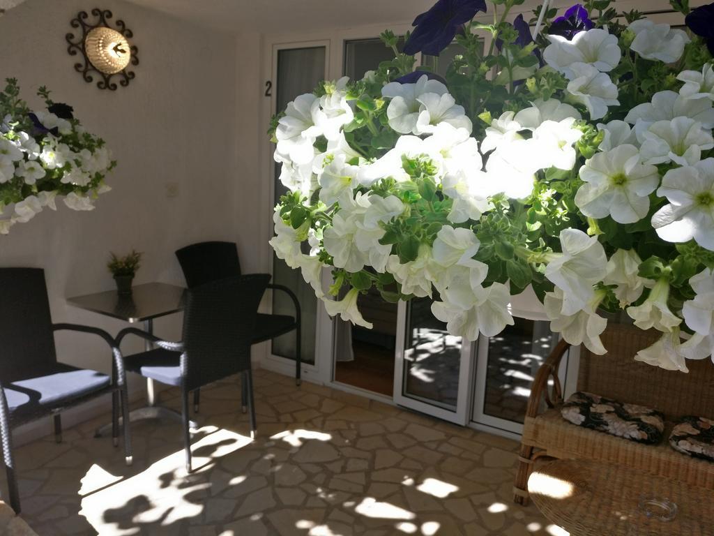 Apartments Ana - רוביני מראה חיצוני תמונה